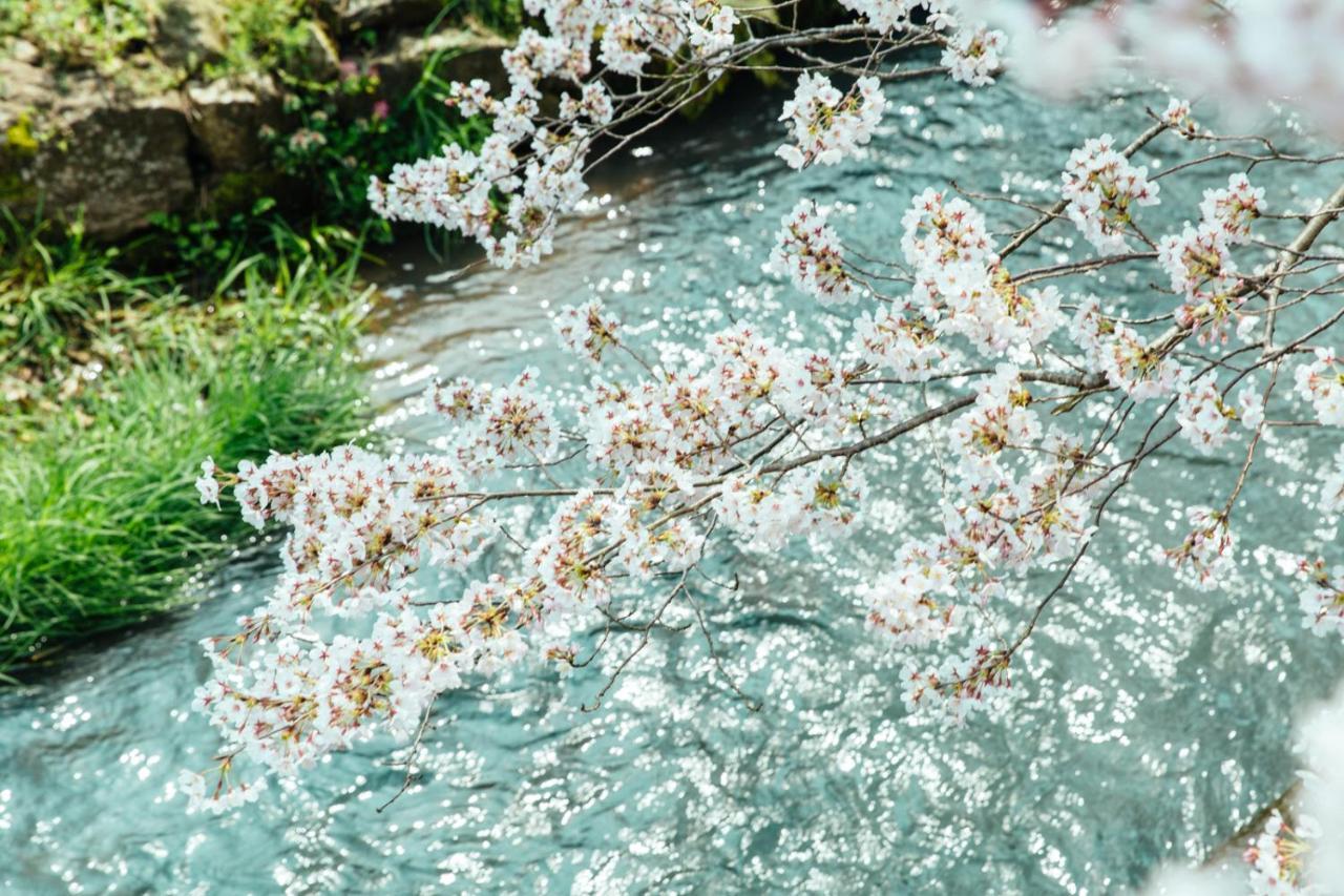 Taos 丹波の風土を感じられる一棟貸切の宿 Tamba-Sasayama Ngoại thất bức ảnh